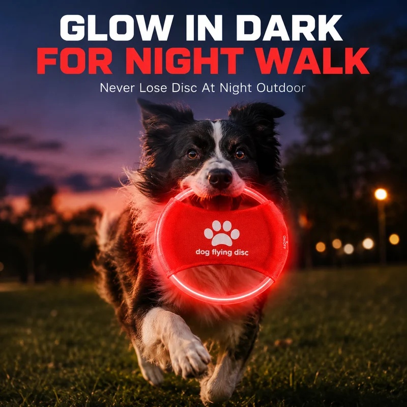 Frisbee Freestyle Disc - LED Glow Dog Flying Disc USB