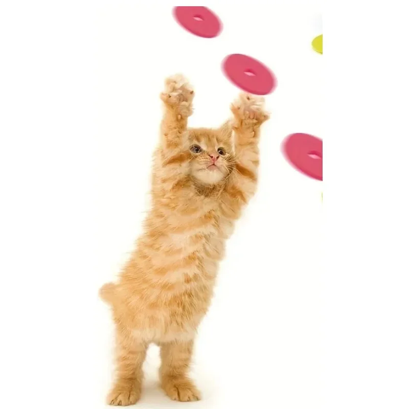 Funny Cat Toys Creative Turnip - Frisbee Freestyle Disc review and price