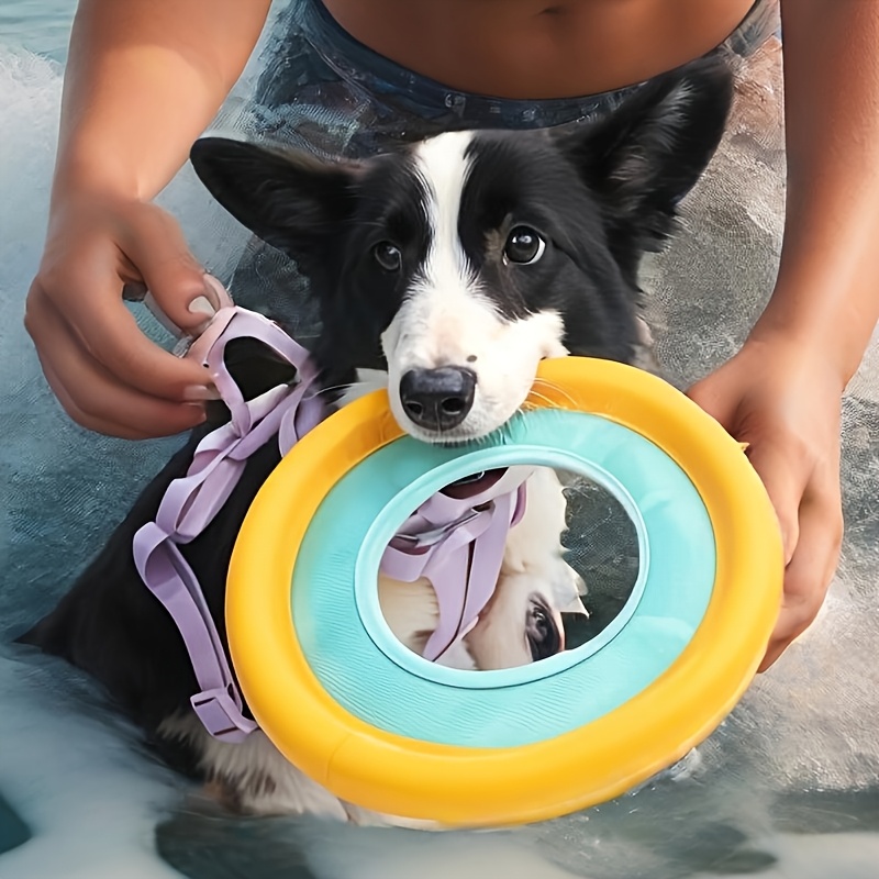 Floating Dog Frisbee, Outdoor  - Frisbee Freestyle Disc review and price