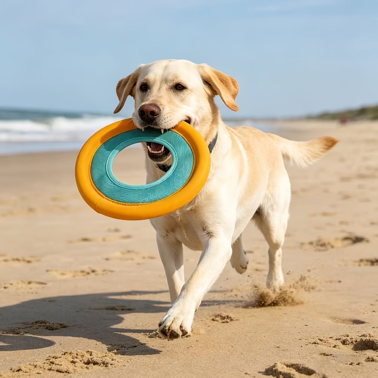 Floating Dog Frisbee, Outdoor  - Frisbee Freestyle Disc review and price