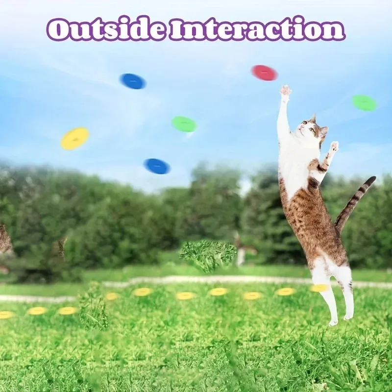 Funny Cat Toys Creative Turnip - Frisbee Freestyle Disc review and price