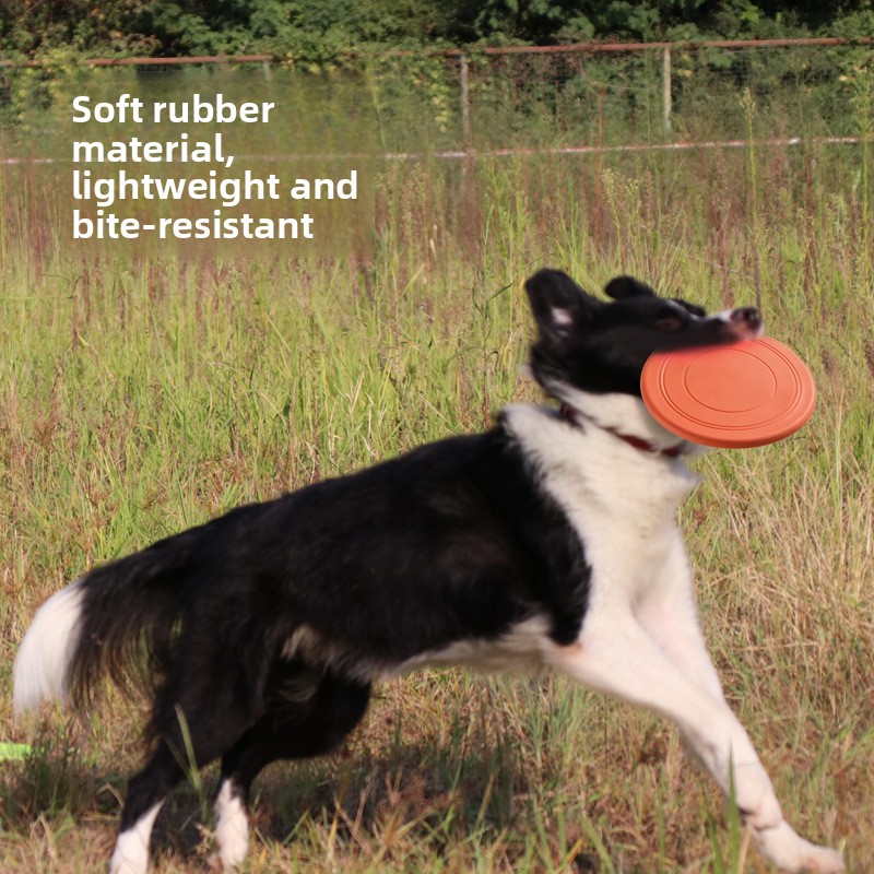 Soft Flying, Dog Toys Interact - Frisbee Freestyle Disc review and price