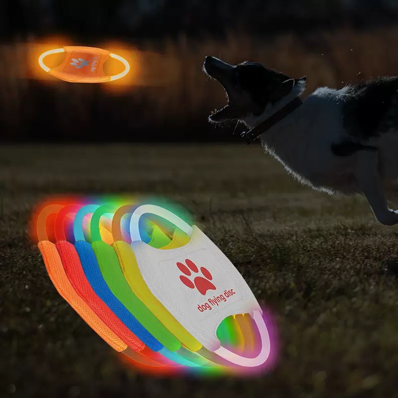 LED Glow Dog Flying Disc USB R - Frisbee Freestyle Disc review and price