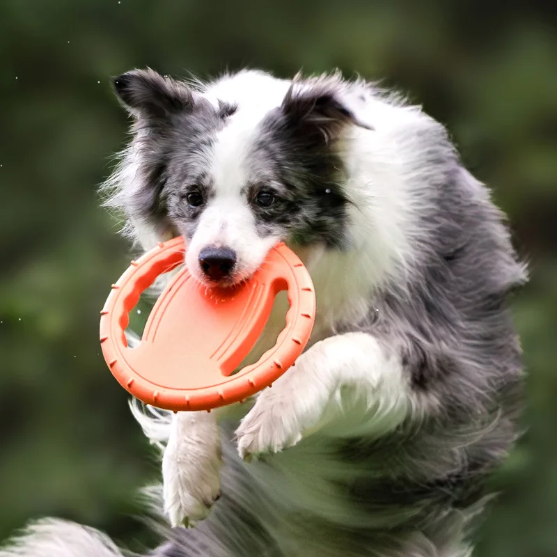Durable Dog Flying Disc Toy Pe - Frisbee Freestyle Disc review and price