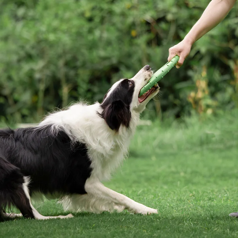 Durable Dog Flying Disc Toy Pe - Frisbee Freestyle Disc review and price